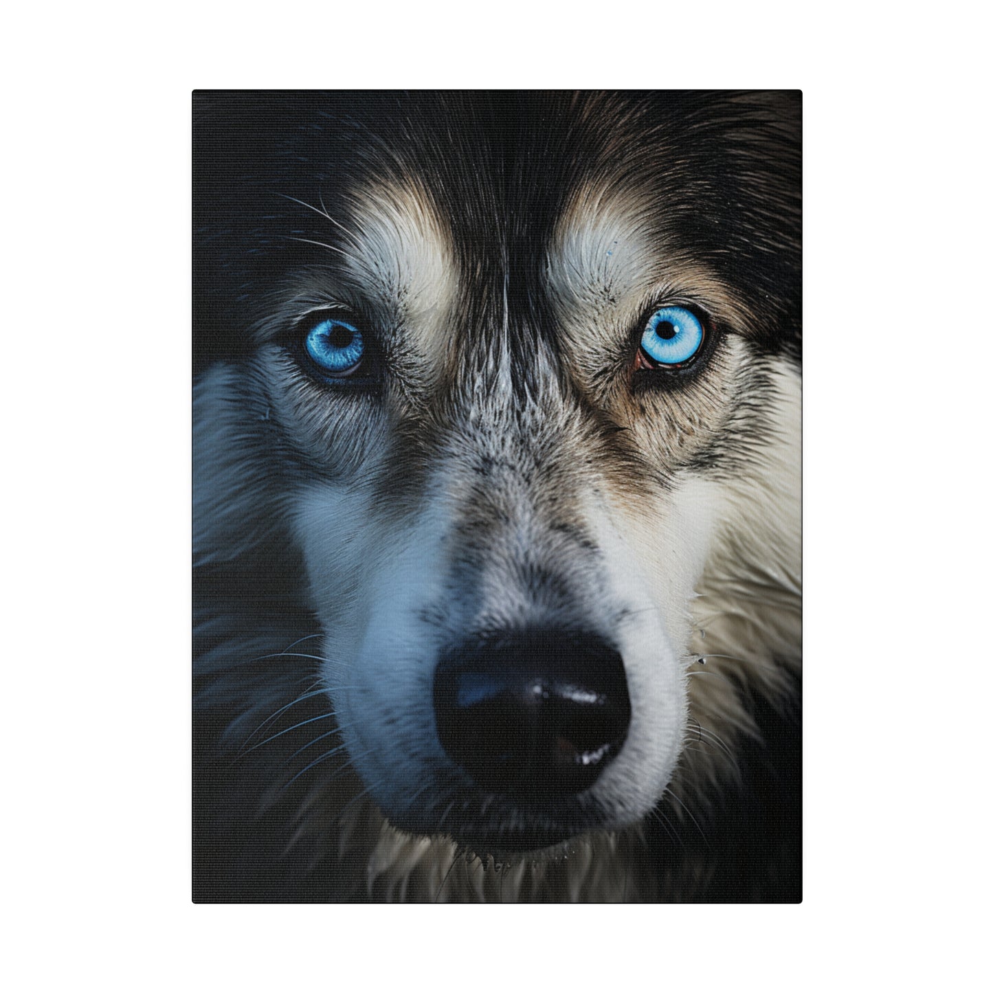 Eyes of the Wilderness Matte Canvas